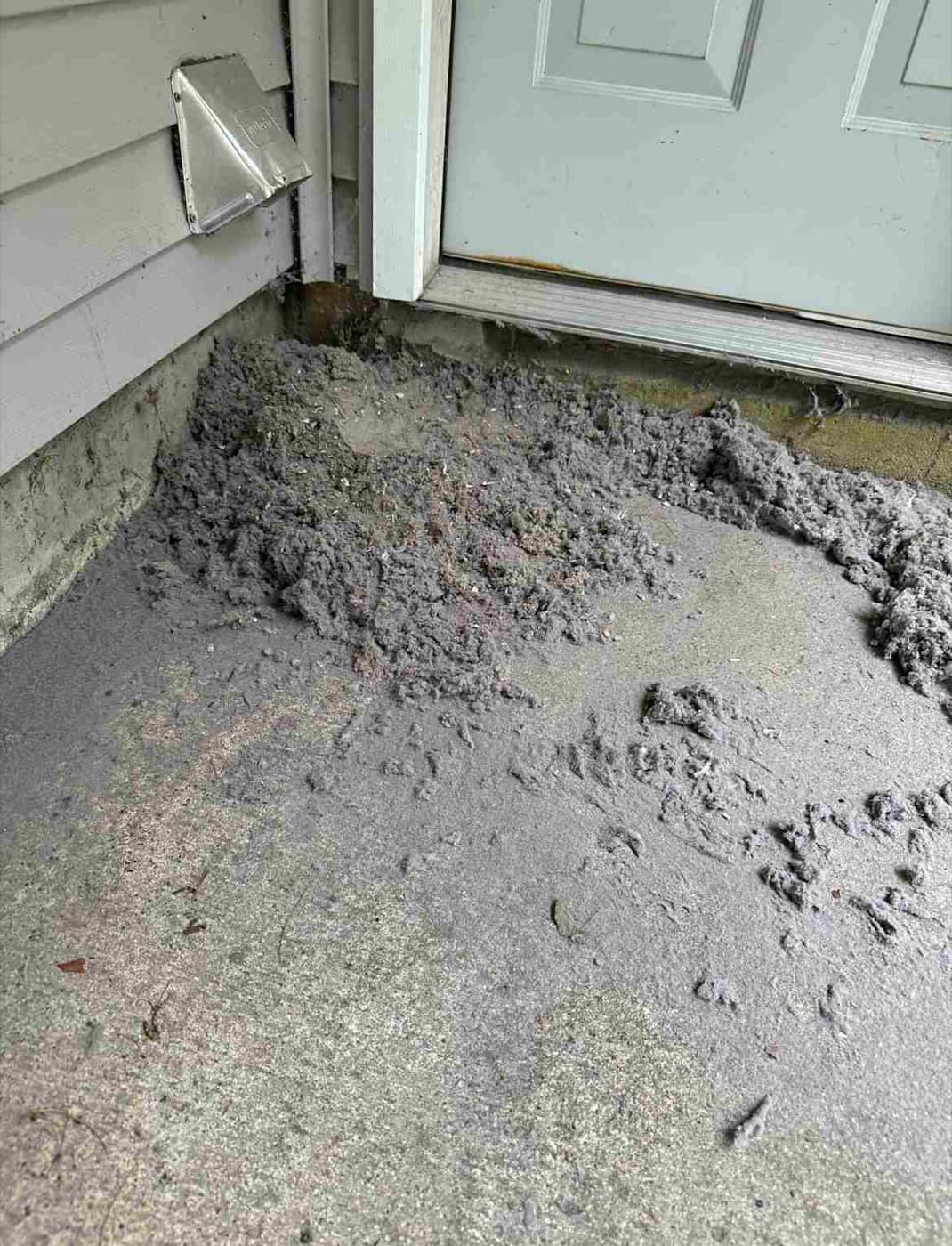 Lint buildup showing why dryer vent repair matters